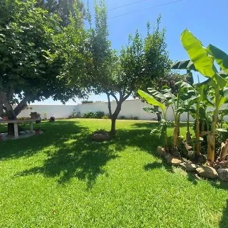 Rossmar 科爾多瓦