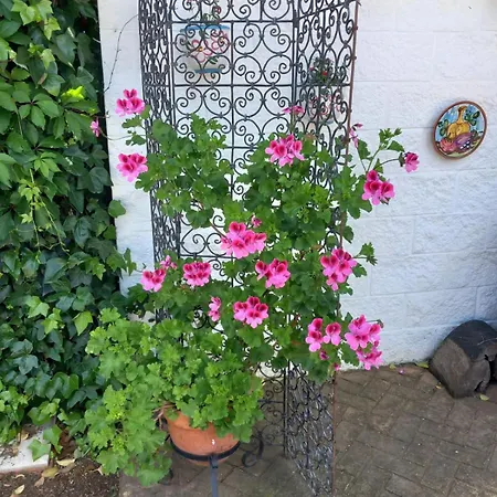 Rossmar Holiday home *