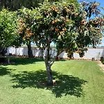 Rossmar Casa de Férias