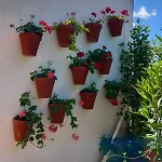 Rossmar Casa de Férias